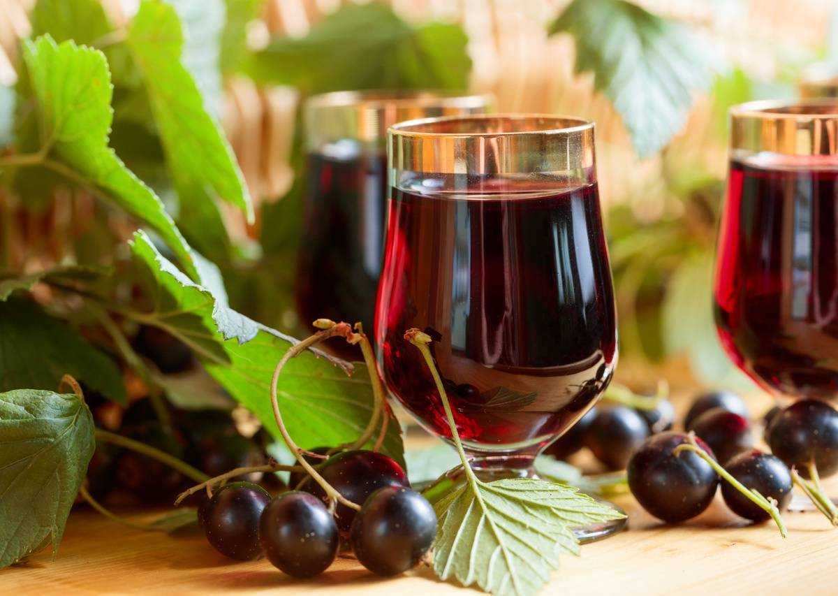 Черная смородина вино домашнее простой рецепт