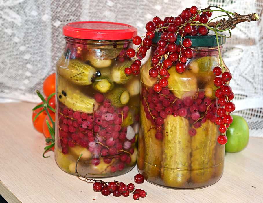 Огурцы, маринованные с черной смородиной, консервация на зиму Подробные пошаговые рецепты с фото и видео Особенности выбора огурцов и хранение заготовок