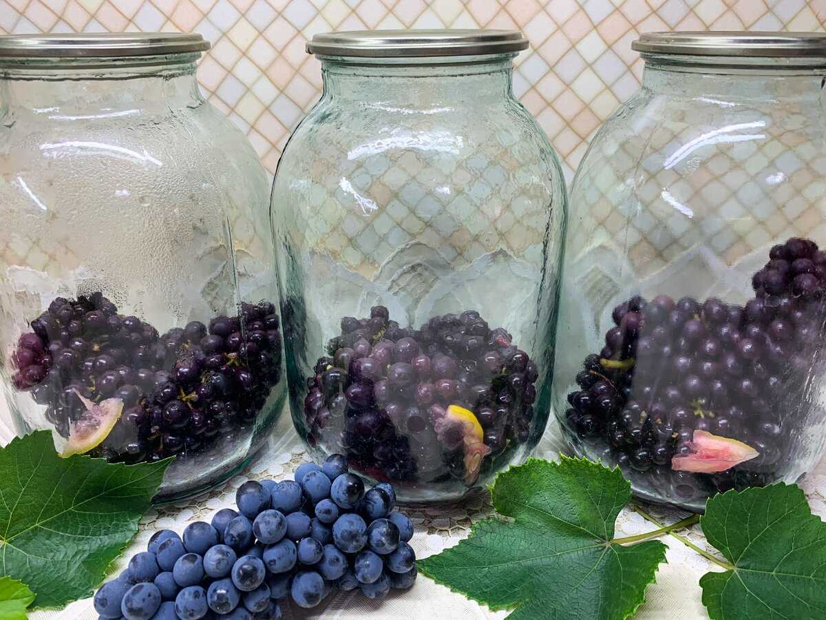 Заготовка винограда на зиму в домашних условиях: сок, компот, варенье
