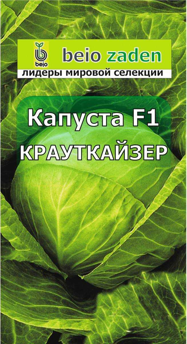 Капуста краутман f1: описание сорта, отзывы и урожайность, фото