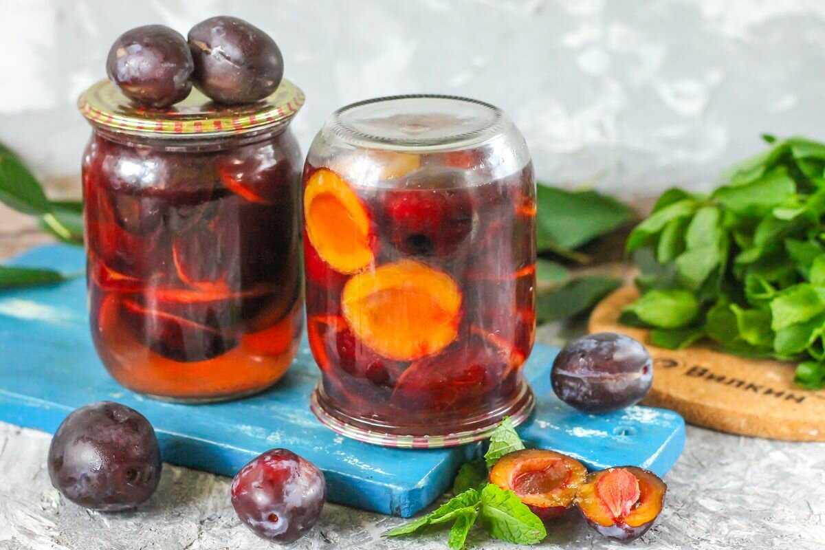 8 вкусных рецептов приготовления на зиму моченых слив в домашних условиях