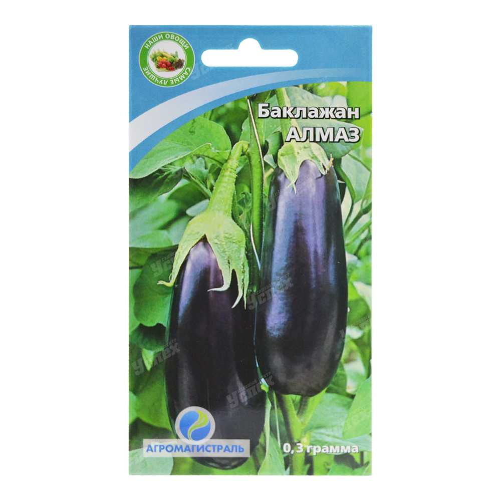 Баклажаны черный красавец: отзывы, описание сорта, выращивание и уход в открытом грунте