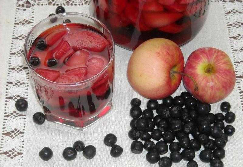 Рецепты компота из черноплодной рябины