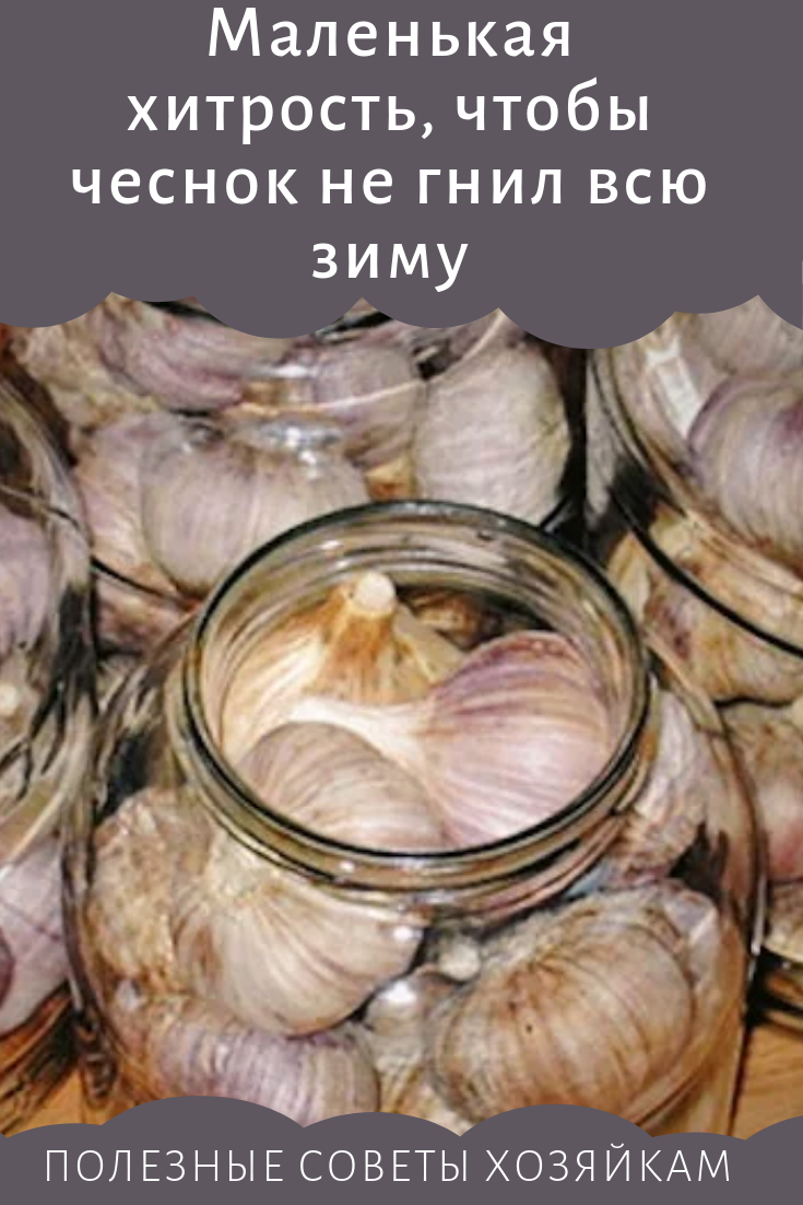 Сохраняем чеснок в домашних условиях
