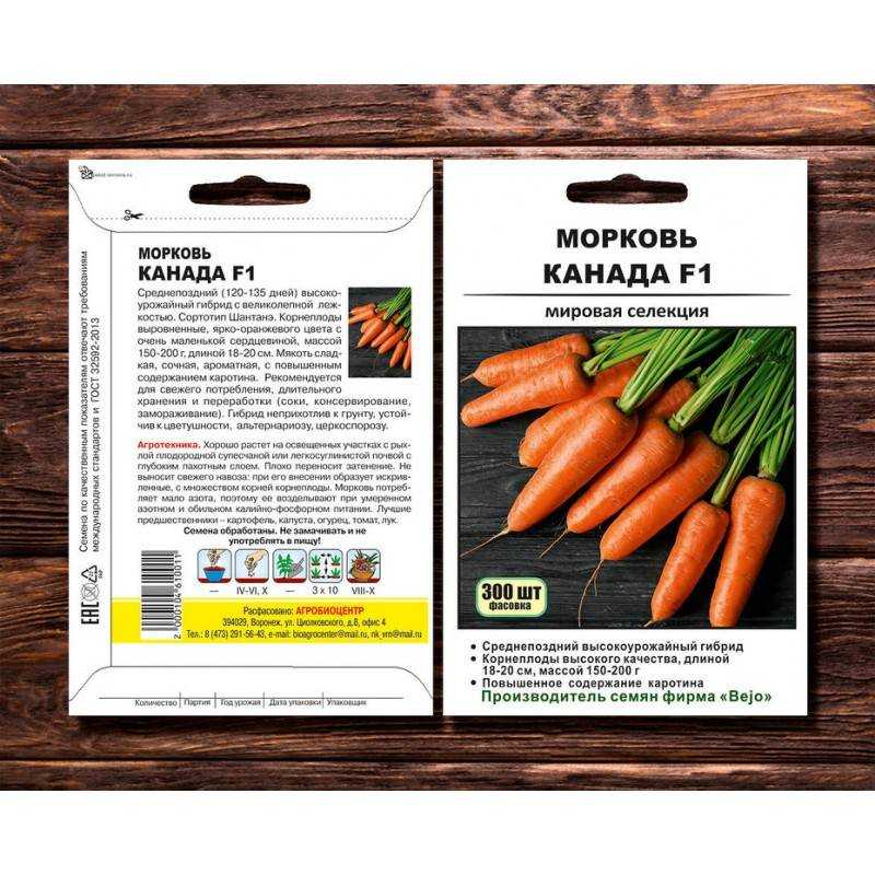 Морковь шантане: особенности, преимущества, описание популярных сортов, правила агротехники, отзывы овощеводов