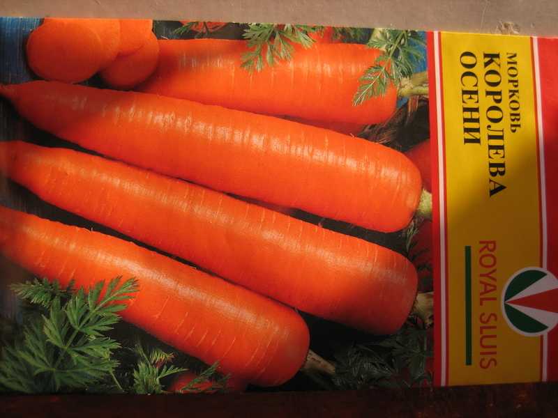 Лучшие сорта моркови - более 30 сортов с описанием