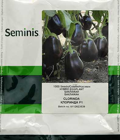 Богатый на урожаи диетический сорт баклажанов — клоринда f1: описание и характеристика
