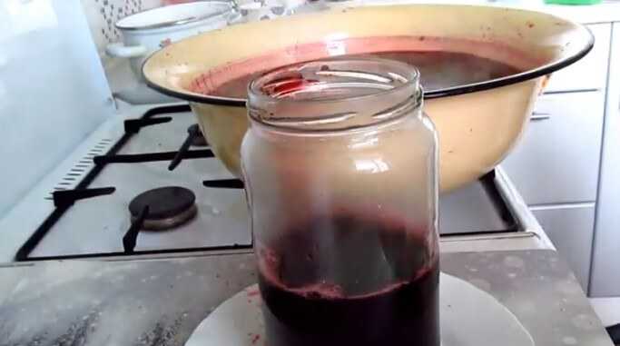 Сироп из черноплодной рябины: рецепты на зиму с вишневыми листьями, лимонной кислотой