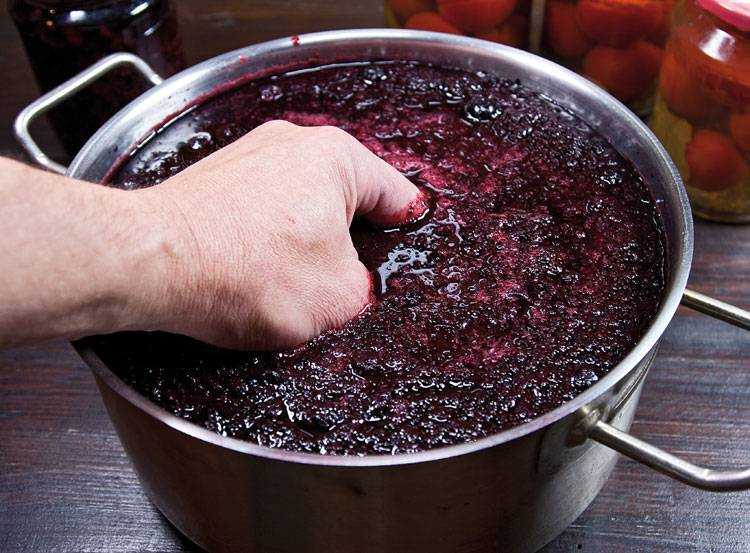 Вино из черной смородины - простые пошаговые рецепты для приготовления в домашних условиях