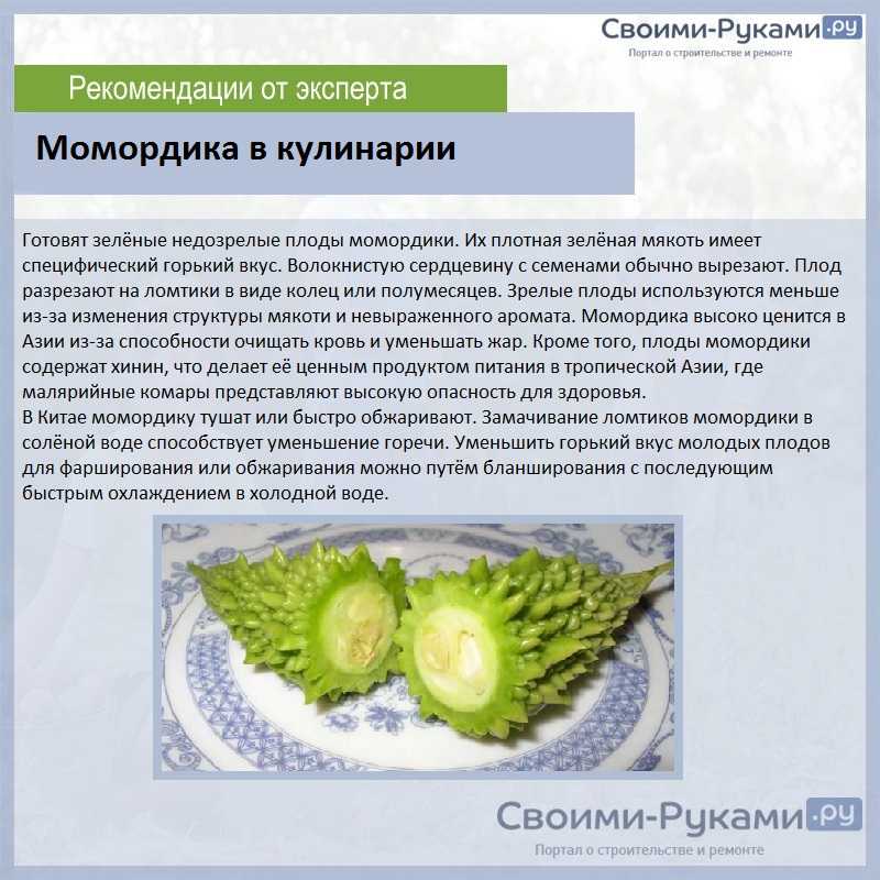 Момордика: что это за растение, фото, пригодность, какая на вкус, как употреблять в пищу, лечебные свойства